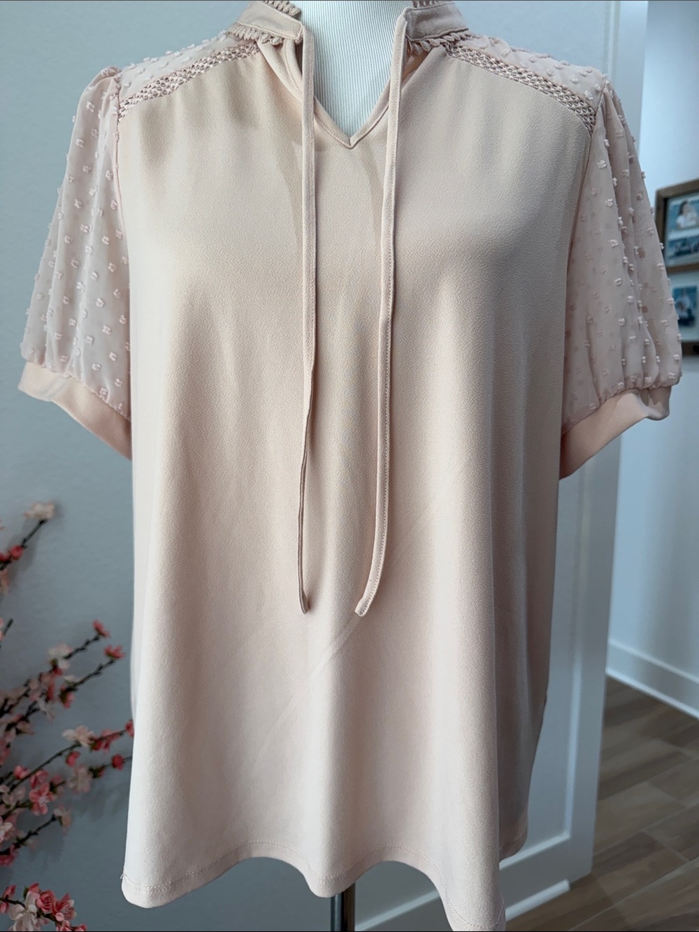 Adrianna Papell Sheer Sleeve Tie-Neck Blouse in Light Blush